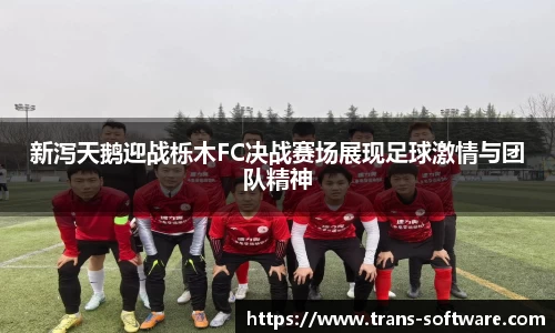 新泻天鹅迎战栎木FC决战赛场展现足球激情与团队精神